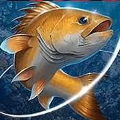 Fishing Hook MOD APK 2.5.2 (Level Max, Unlock Aquarium)