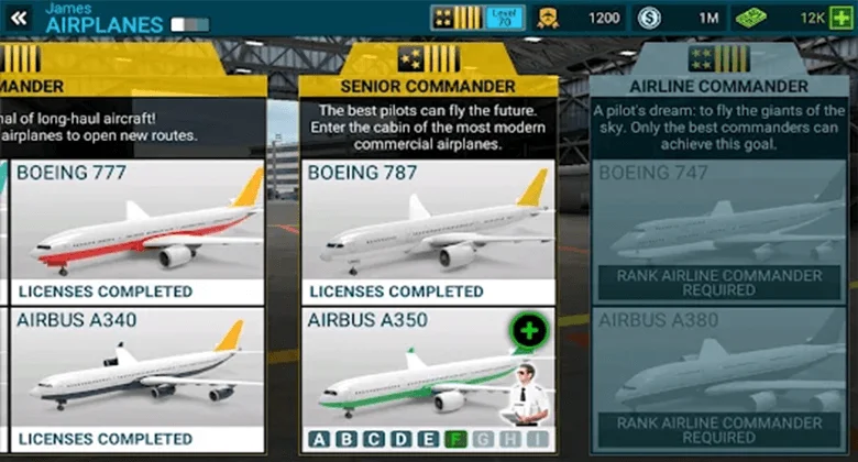 senior commander airline mod